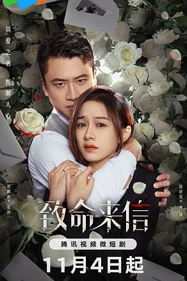 东营seo网络优化推广